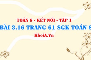 Bài 3.16 trang 61 SGK Toán 8 tập 1 Kết nối tri thức